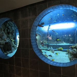 Aquarium - Continental Shelf Exhibit