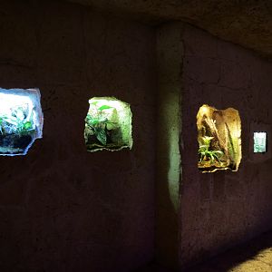 Mundo Maya - 4 Small Exhibits