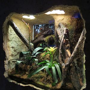 Mundo Maya - Helmeted Basalisk and Others Exhibit