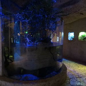 Mundo Maya - River Delta Exhibit