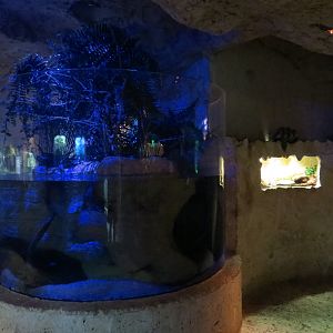 Mundo Maya - River Delta Exhibit