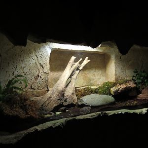 Mundo Maya - Unsigned Exhibit