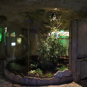 Mundo Maya - Los Petenes Exhibit