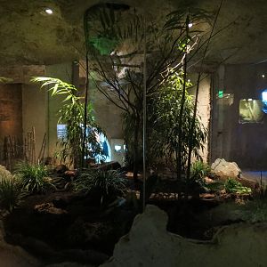 Mundo Maya - Los Petenes Exhibit