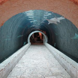 Mundo Maya - Cenote Exhibit