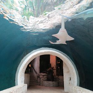 Mundo Maya - Cenote Exhibit