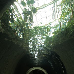 Mundo Maya - Cenote Exhibit