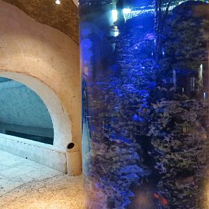 Mundo Maya - Aquarium