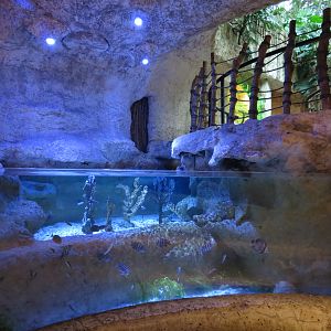 Mundo Maya - Conch Exhibit