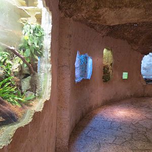 Mundo Maya - 4 Reptile Exhibits