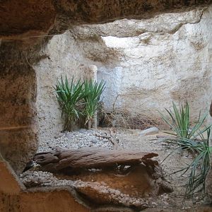 Mundo Maya - Beaded Lizard and Middle-American Rattlesnake Exhibit