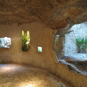Mundo Maya - 3 Reptile Exhibits