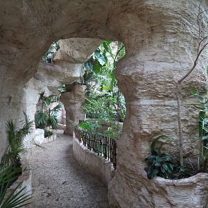 Mundo Maya - Upper Level Path