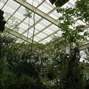 Mundo Maya - Upper Level View