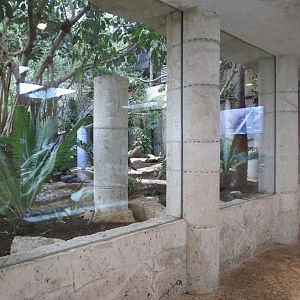 Mundo Maya - Birds of El Triunfo Exhibit
