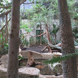 Mundo Maya - Birds of El Triunfo Exhibit