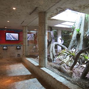 Mundo Maya - Temple of the Jaguar