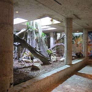 Mundo Maya - Temple of the Jaguar