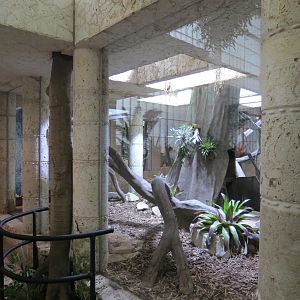 Mundo Maya - Temple of the Jaguar