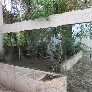 Mundo Maya - Selva Maya Exhibit