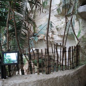 Mundo Maya - Jabiru Stork Exhibit