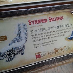 advanced sign board in the Lost Valley attraction