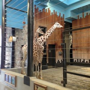 1/4/2014 - Marlee and Rahna