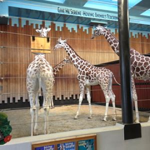 1/4/2014 - The Gang's All Here