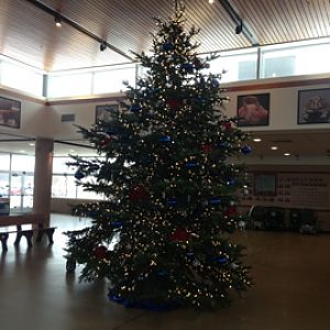 1/4/2014 - U.S. Bank Gathering Place Christmas Tree