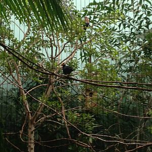 1/4/2014 - Species Help Please?