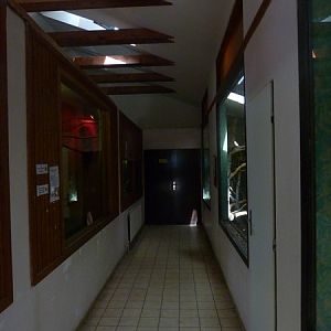 Small mammals indoor enclosures