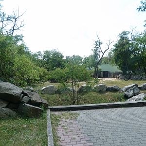 Bacterian camel enclosure