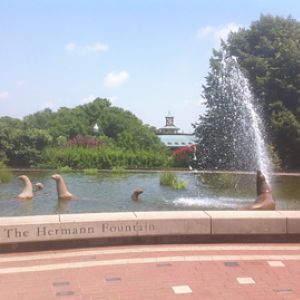 7/5/2013 - Sea Lion Fountain