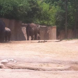 7/5/2013 - Priya and her Mother
