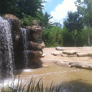 7/5/2013 - Elephant Habitat #3