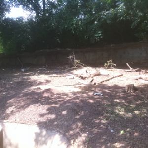 7/5/2013 - Prairie Dog Habitat