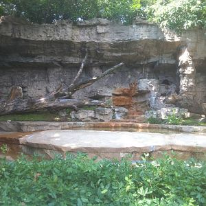 7/5/2013 - Sun Bear Grotto