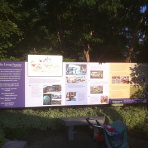 7/5/2013 - The Living Promise Campaign Info Board
