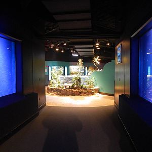 Jan. 2014 - Start of the Aquarium Exhibits