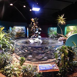 Jan. 2014 - World Rivers