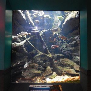 Jan. 2014 - World Rivers - Licking River Exhibit