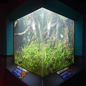 Jan. 2014 - World Rivers - Mekong River Exhibit