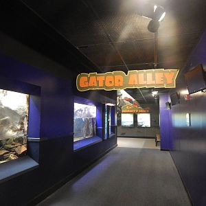 Jan. 2014 - Gator Alley Start