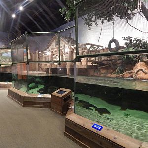 Jan. 2014 - Gator Alley - Mighty Mikes Exhibit