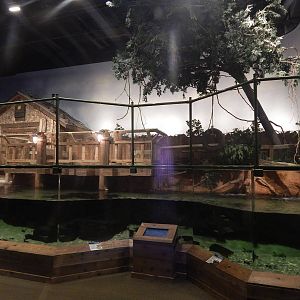 Jan. 2014 - Gator Alley - Mighty Mikes Exhibit - Right Side