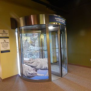 Jan. 2014 - Rainforest Entrance