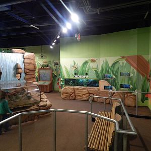 Jan. 2014 - Frog Bog