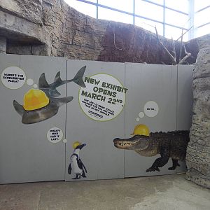 Jan. 2014 - Rainforest - New Exhibit Coming Soon...