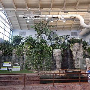 Jan. 2014 - Rainforest - White Alligator Exhibit - Home to Snowflake