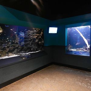 Jan. 2014 - World Rivers - Lake Tanganyika + The Congo River Exhibits